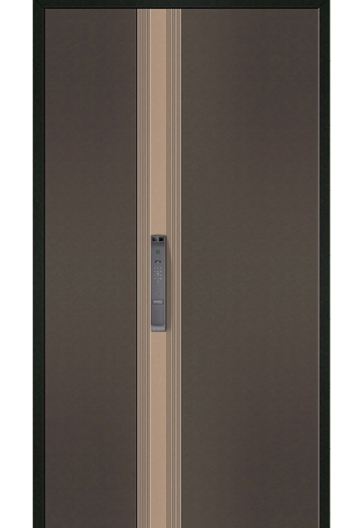 YX-26-047 Custom Entrance Doors